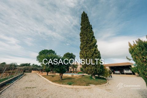 Landejendom i Les Useras, Castellon, Les Useras - € 365.000 | Ref: 918 - foto 15